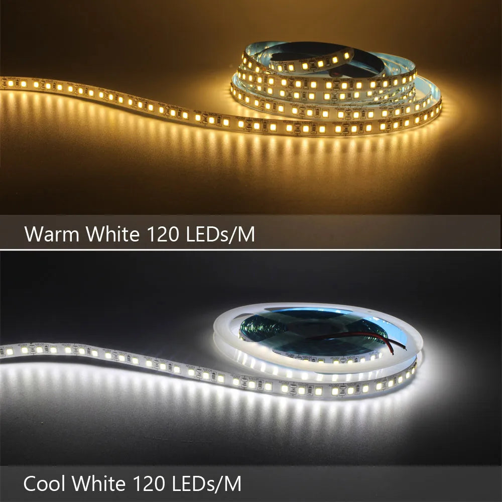 LED Strip Lights – 12V SMD 2835, Warm & Cool White, 1M–5M for Home & Desk Decor
