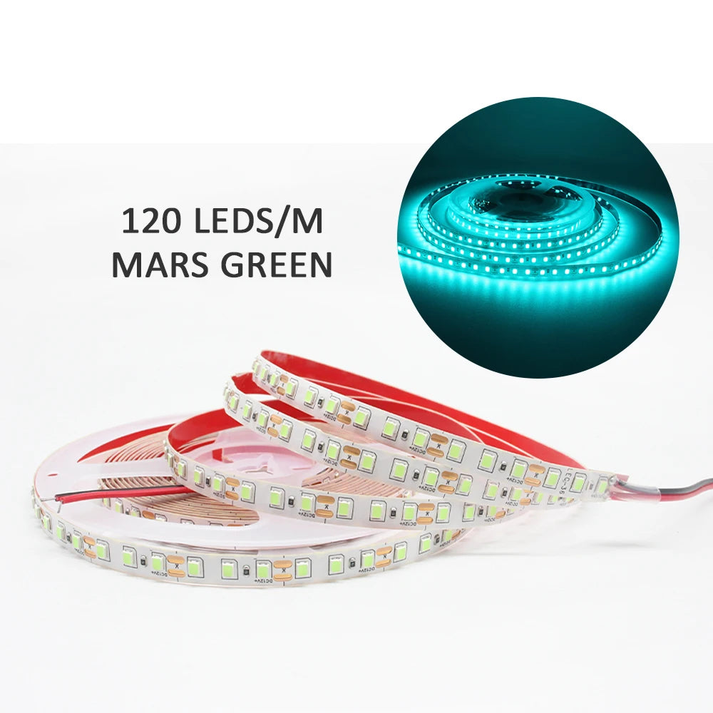 LED Strip Lights – 12V SMD 2835, Warm & Cool White, 1M–5M for Home & Desk Decor